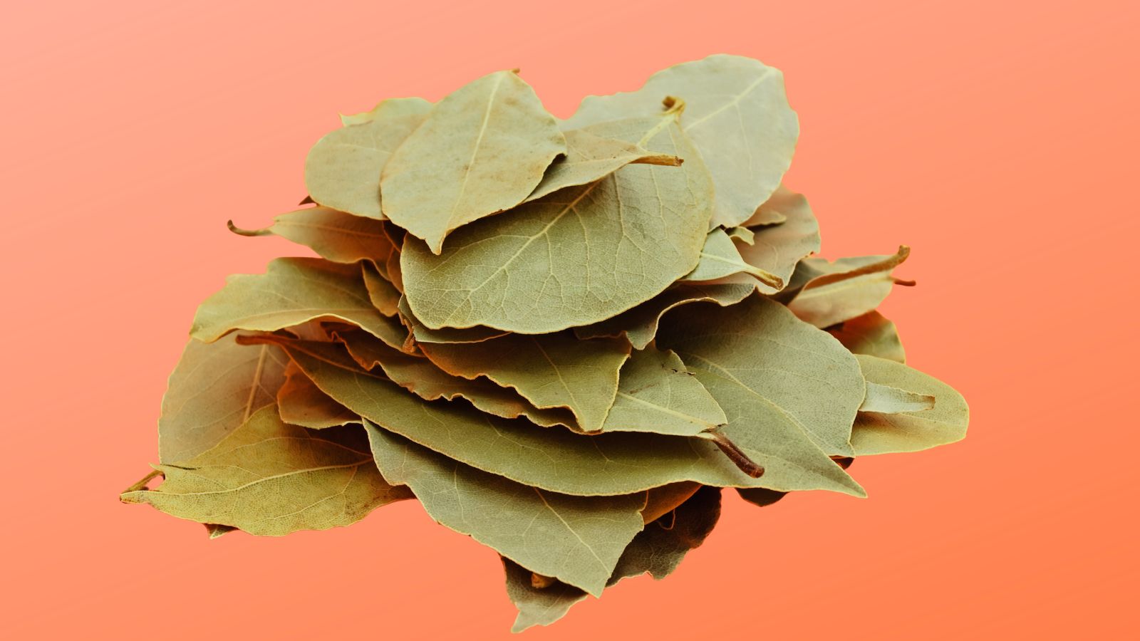 spice rack essentials image of a pile of bay leaves on an orange background