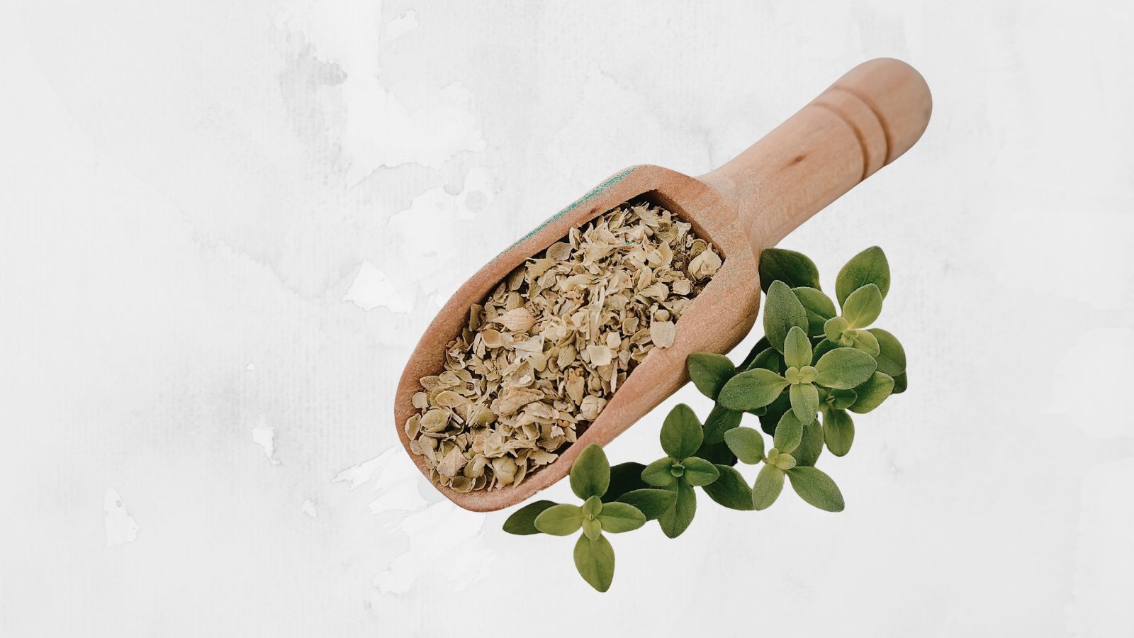 Spice Rack dried oregano image of a scoop of dried oregano 